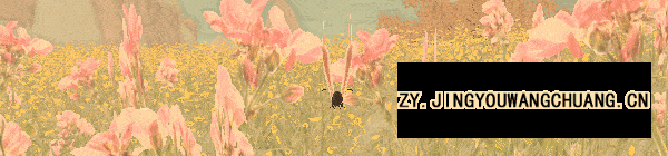 ezgif.com gif maker 2