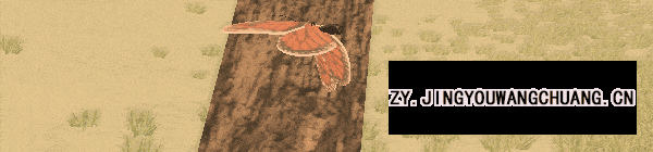 ezgif.com gif maker 3
